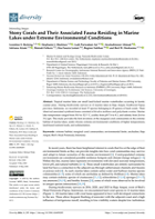 Tropical marine lakes are small land-locked marine waterbodies occurring in karstic coastal areas. During biodiversity surveys in 12 marine lakes in Raja Ampat, Southwest Papua province, Indonesia, we recorded at least 37 species belonging to 29 genera of hard corals. Their observed associated symbiont fauna consisted of bivalve molluscs and polychaete worms. Marine lake temperature ranged from 30.0 to 32.5 C, acidity from pH 7.6 to 8.1, and salinity from 26.4 to 33.2 ppt. This study provides the first inventory of the marginal coral communities in the extreme habitat of marine lakes, under chronic extreme environmental conditions of higher temperatures, land-based nutrient loads, and sedimentation.