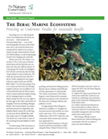 The Berau Marine Ecosystems factsheet.