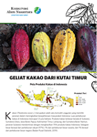 Lembar Fakta Geliat Kakao dari Kutai Timur