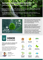 Natural Production Forests factsheet.