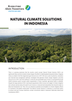 Factsheet explaining the potential opportunity for natural climate solutions (NCS) in Indonesia
