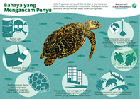 Infografik Bahaya yang Mengancam Penyu.