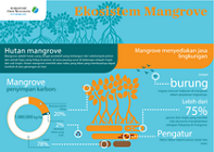 Infografik Ekosistem Mangrove.