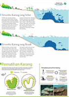 Infografik Terumbu Karang.