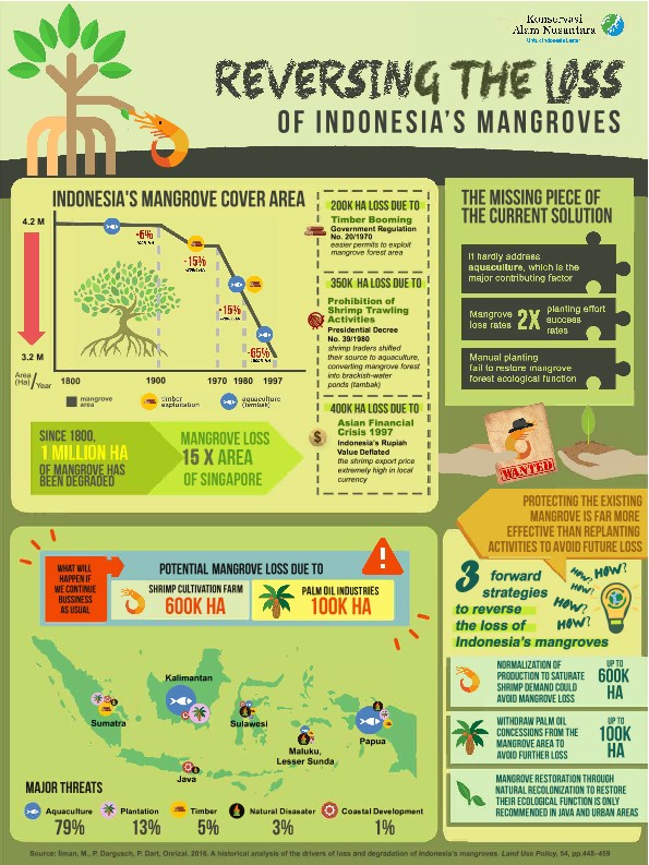 Protecting the existing mangrove is far more effective than replanting activitis to avoid future loss.