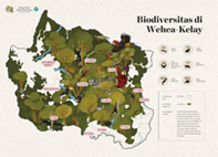 Biodiversitas di Wehea-Kelay