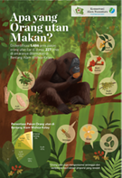 Apa yang Orangutan Makan?