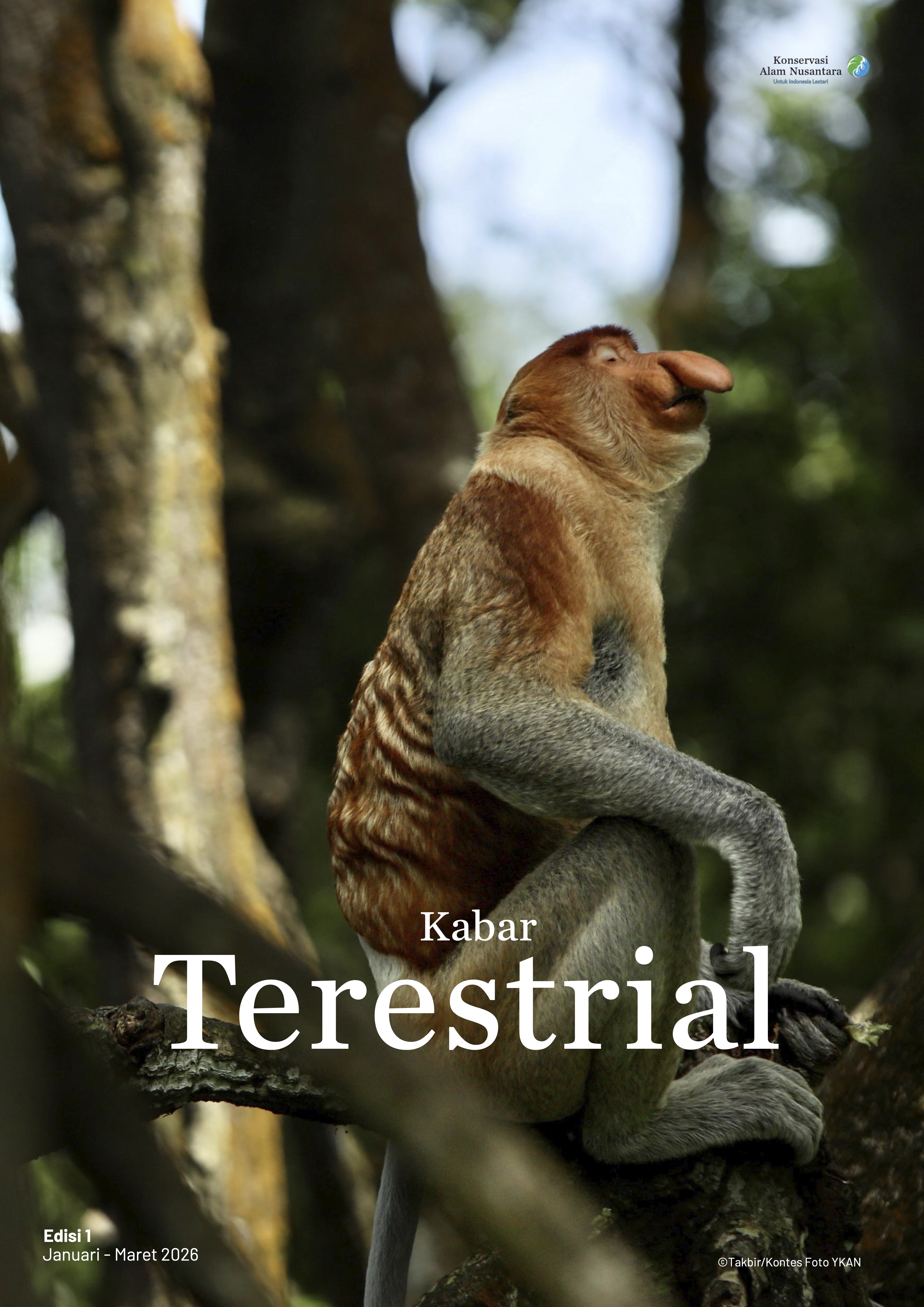 Kabar Terrestrial